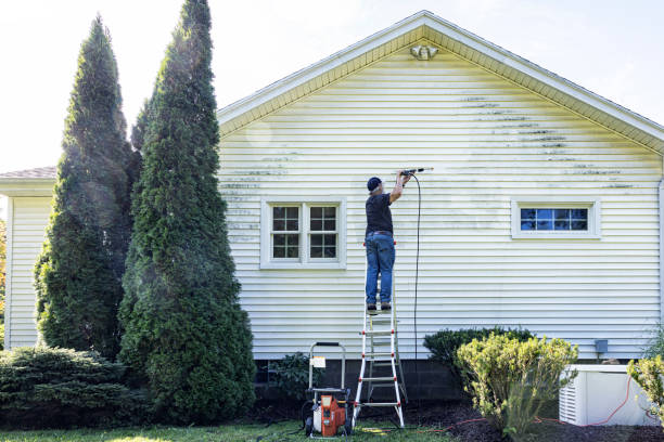 Best House Pressure Washing  in Forsyth, IL